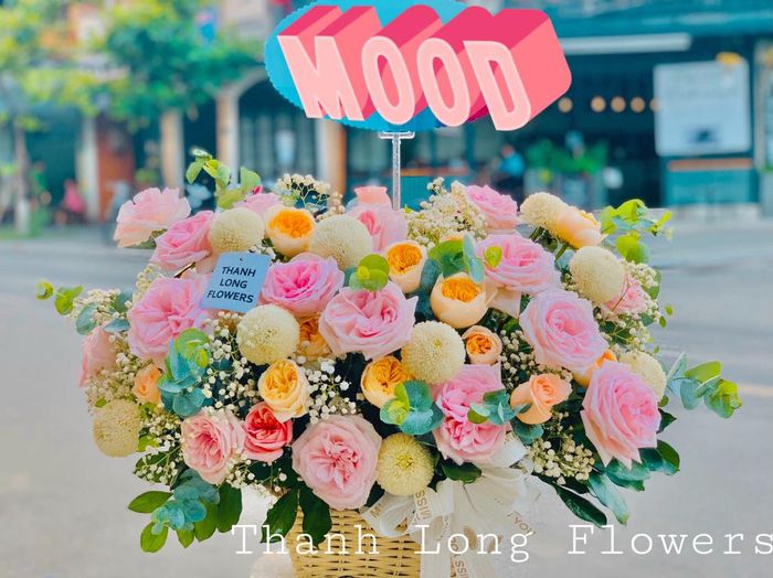 Không gian đầy cảm hứng tại Thanh Long Flowers - Ảnh 2