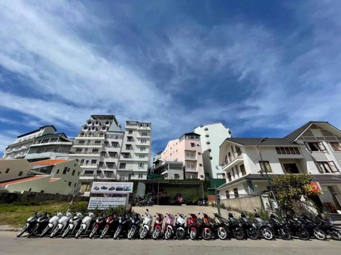 Amazing Đà Lạt ảnh 3