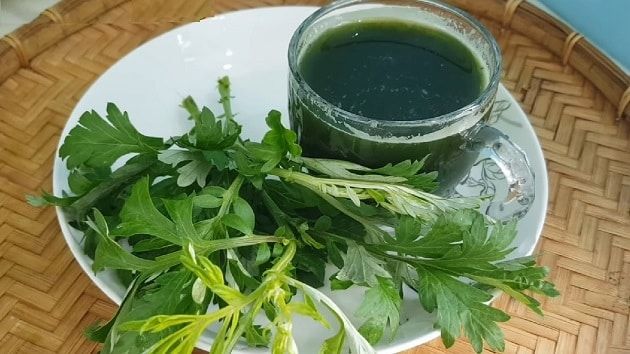 Chữa sẹo lồi với ngải cứu