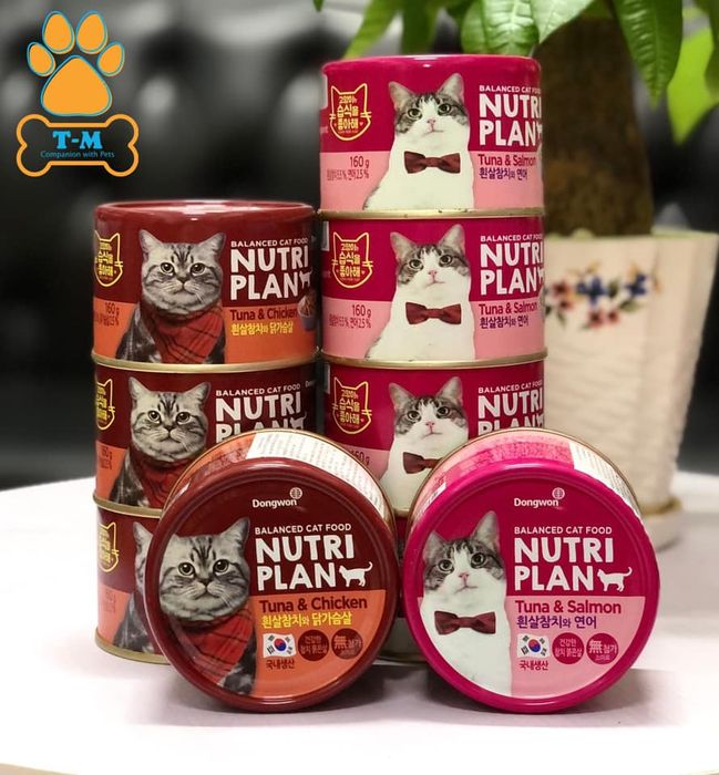 Không gian bên trong T-M Pet Shop Quế Võ