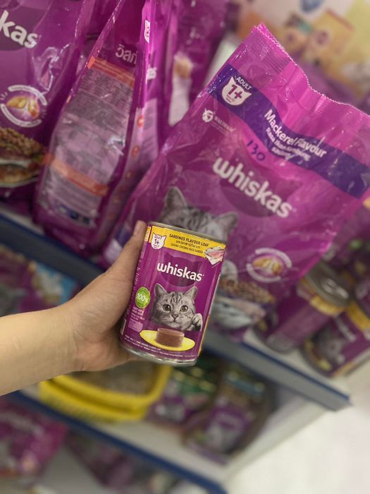 Không gian mua sắm tại JB Pet Shop
