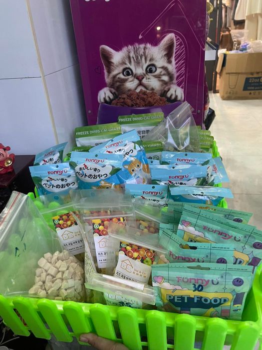 Khoảnh khắc đáng yêu tại JB Pet Shop