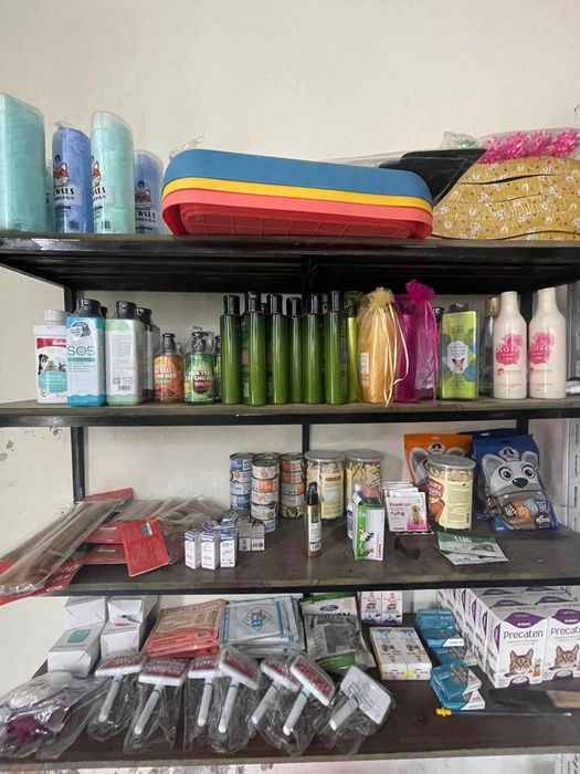 ĐẬU Pet Shop hình ảnh 2