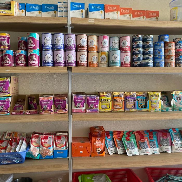 Husky Pet Shop hình ảnh 1