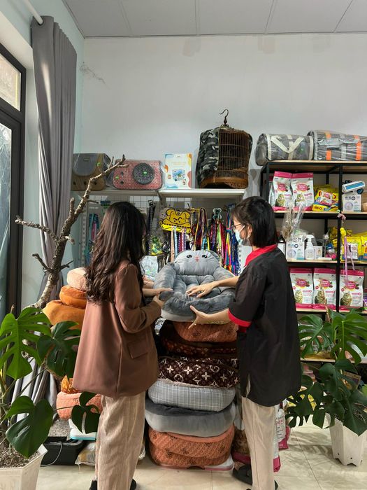 Lala’s House - Vương Quốc Thú Cưng hình ảnh 2