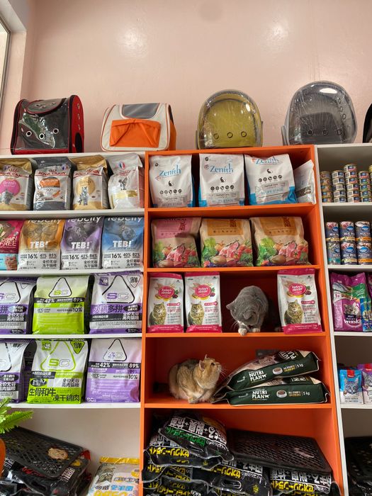 Meo Pet Shop - Siêu Thị Thú Cưng hình ảnh 1