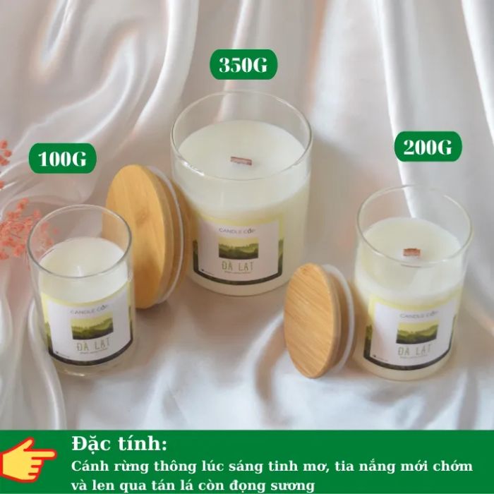 Hình ảnh minh họa nến thơm AGAYA Candle Cup (Nguồn: Internet)