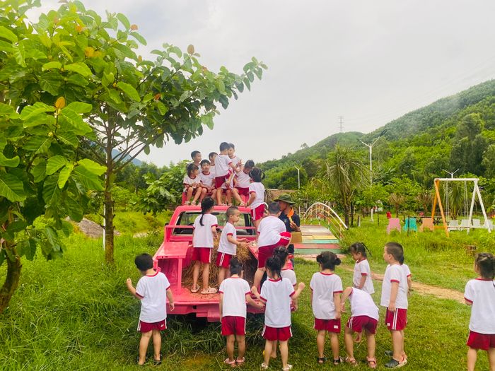Không gian học tập đầy cảm hứng tại trường mầm non Việt Nhật Đà Nẵng