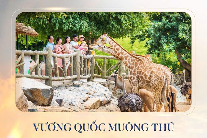 Đảo Vũ Yên: Thiên đường du lịch và viên ngọc quý của Hải Phòng 3