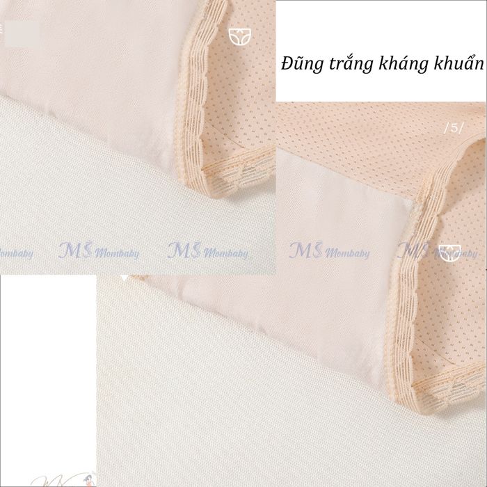 Quần Lót Bầu MS Mombaby - Ảnh chân thực sản phẩm với kiểu dáng thời trang