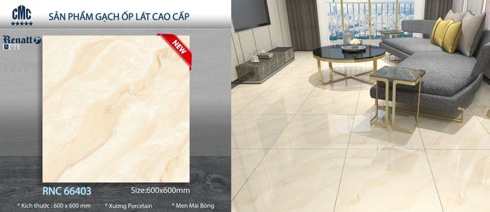 Bộ sưu tập gạch ốp lát đa dạng tại Showroom Trường Thịnh Phát