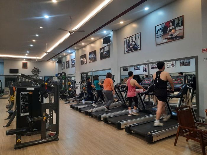 Hệ thống máy móc cao cấp tại Gym & Fitness HQ