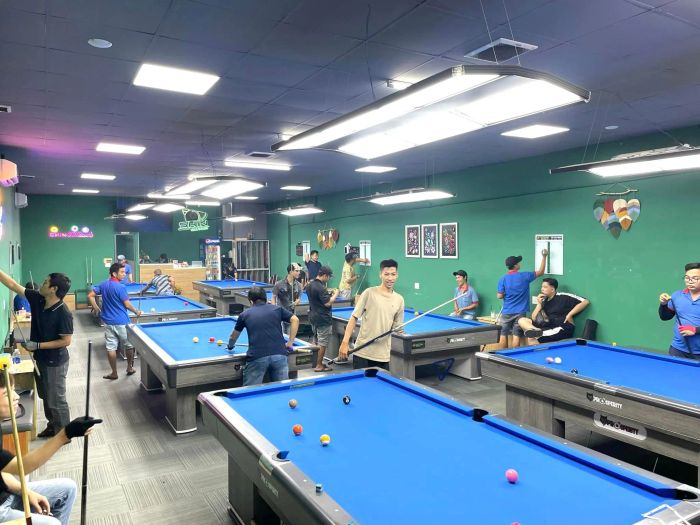 Shin Billiards - Hình 2