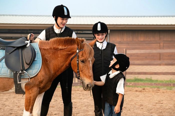 Đảo Vũ Yên: Thiên đường du lịch và viên ngọc quý của Hải Phòng 5