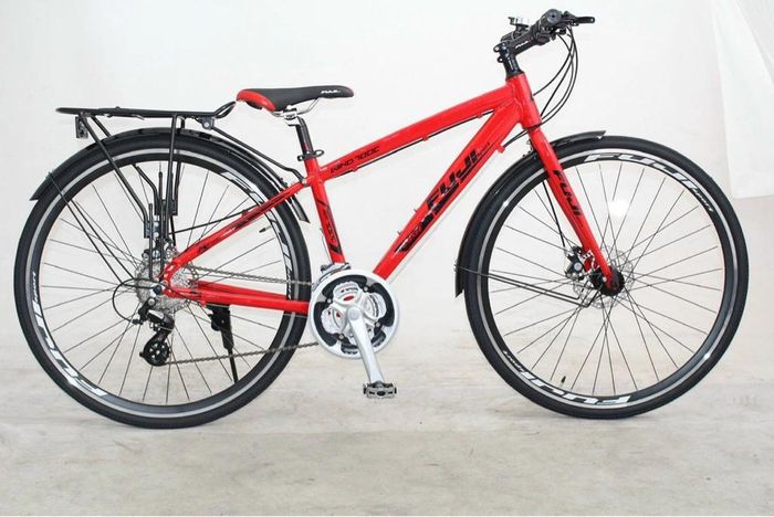 Xe đạp Fuji hình ảnh 2
