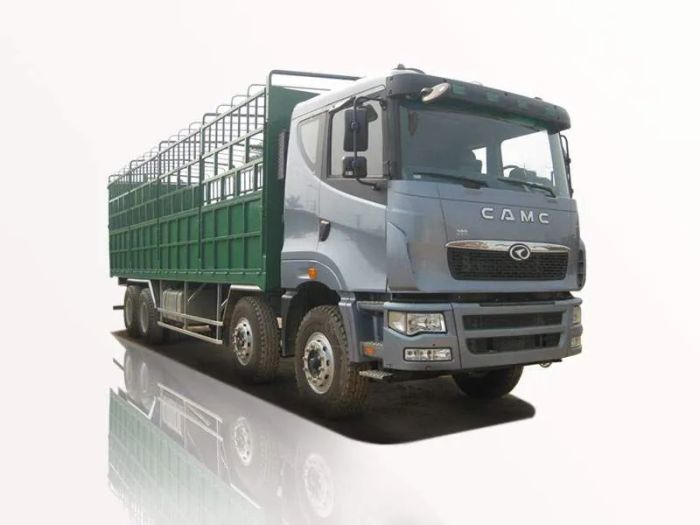 Hình ảnh Xe Tải Camc 1