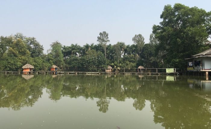 Không gian xanh mát tại Nhà hàng hồ câu Xuân Quế