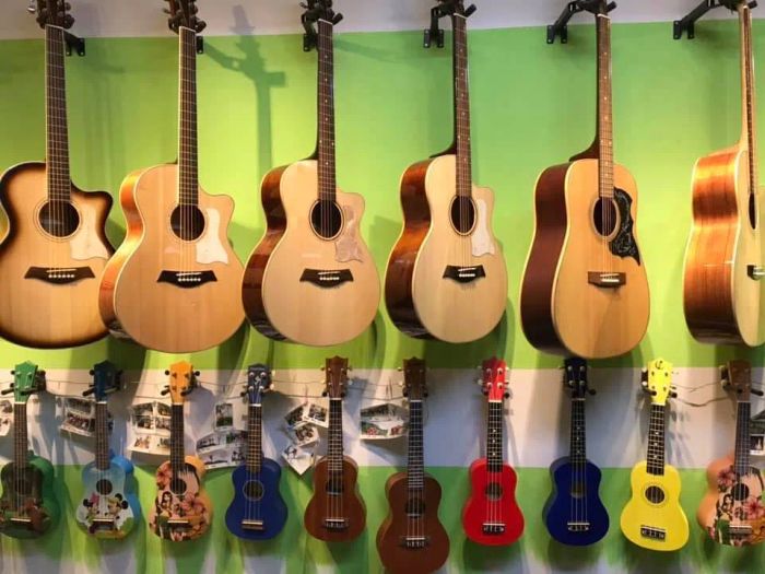 Hình ảnh Guitar Passion 1
