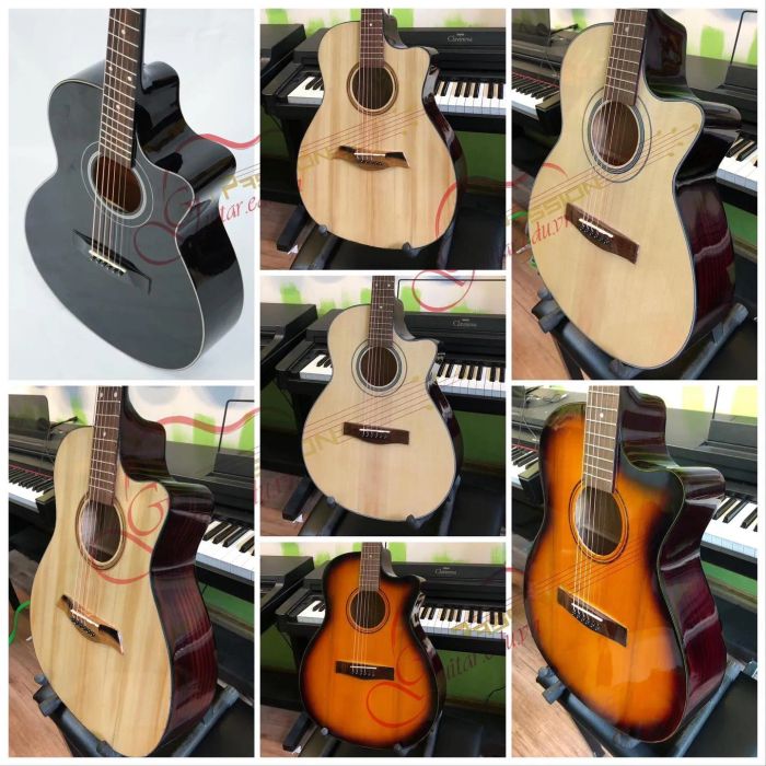 Hình ảnh Guitar Passion 2