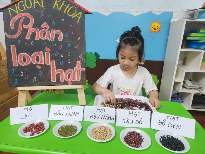 Hoạt động ngoại khóa vui nhộn tại Mầm Non Linh Trang