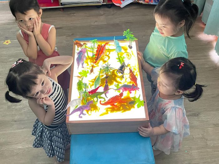 Hình ảnh khuôn viên tràn ngập ánh sáng tại Thái Bình Dương