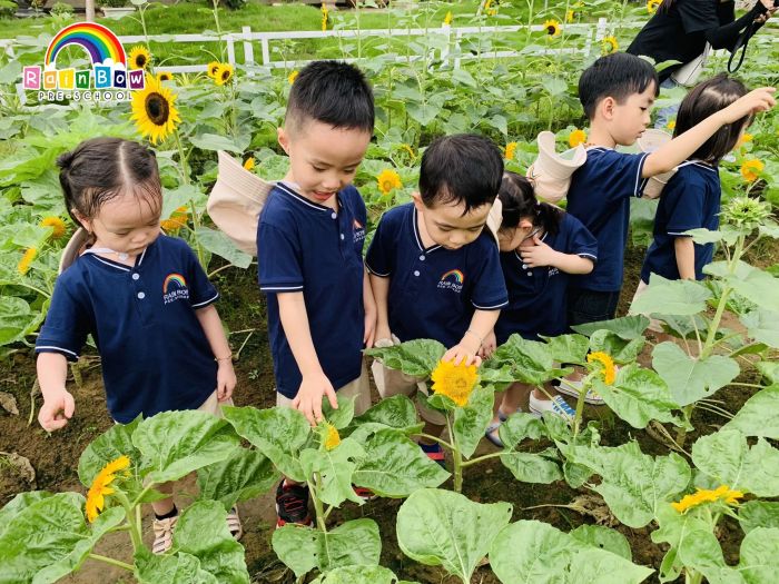 Không gian học tập đầy màu sắc tại Rainbow