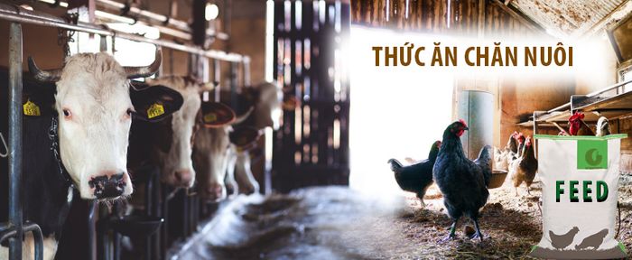 Hình ảnh đội ngũ chuyên gia và quy trình kiểm định chất lượng tại Hưng Thịnh