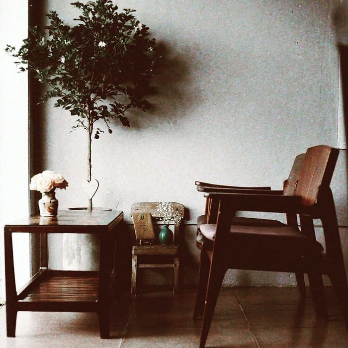 Tree Hugger Café - Không gian hoài niệm đầy chất nghệ
