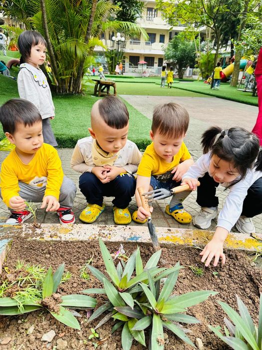 Hoạt động vui chơi sáng tạo tại Trường Mầm Non Hữu Nghị Quốc Tế