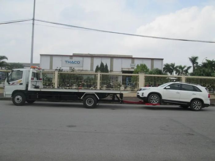 Hình ảnh hoạt động cứu hộ chuyên nghiệp - Cứu Hộ Hồ Chí Minh 1