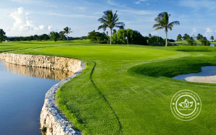 Sân golf Hanoi với những thảm green rộng lớn, mịn màng và có độ gợn sóng nhẹ tạo nên cảm giác thư giãn tuyệt vời cho người chơi.