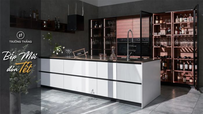Bộ sưu tập tủ bếp cao cấp - Trường Thắng (Ảnh 2)