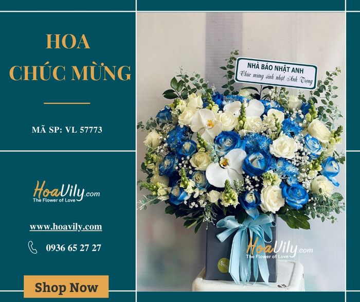 Hoa Vily - Tuyển tập những mẫu hoa tươi nghệ thuật ấn tượng