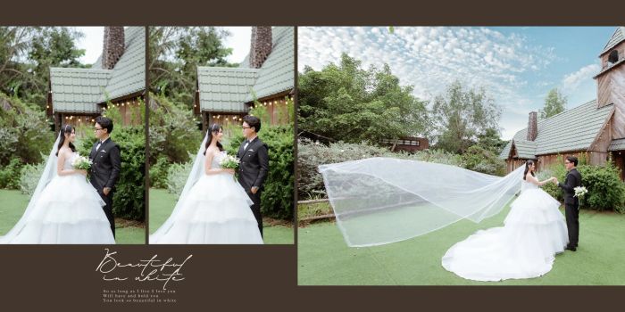 Áo Cưới Mẫn Nhi ảnh 2