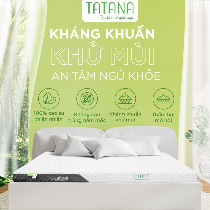 Hình ảnh thực tế nệm cao su Tatana