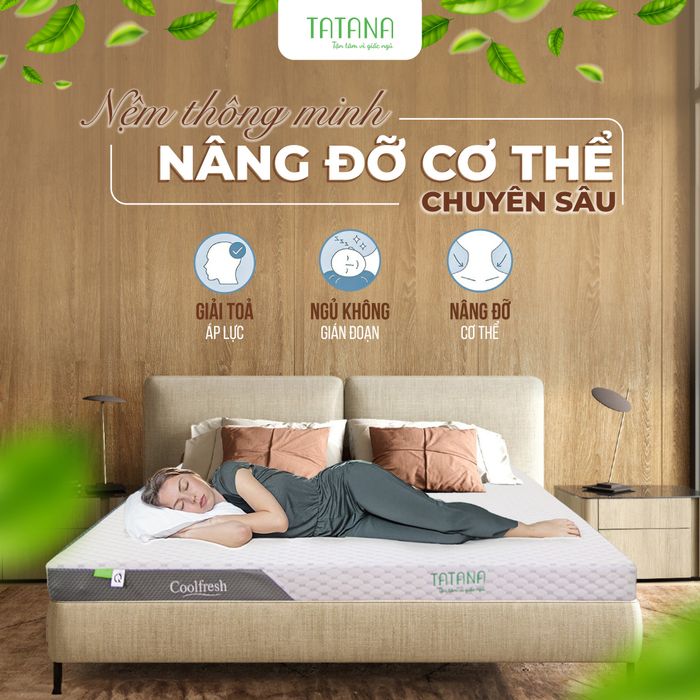Hình ảnh nệm cao su Tatana cao cấp
