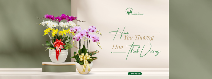 Bộ sưu tập lan hồ điệp cao cấp tại Hoa Lan Thanh Phong