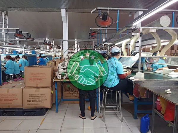 Hình ảnh hoạt động của Công ty Đạt Thành Phát