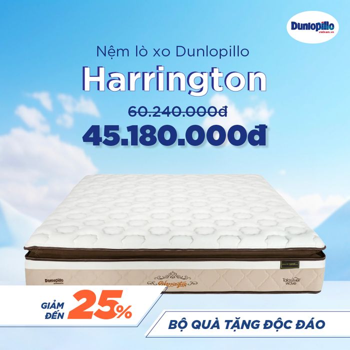 Hình ảnh nệm cao su Dunlopillo chính hãng