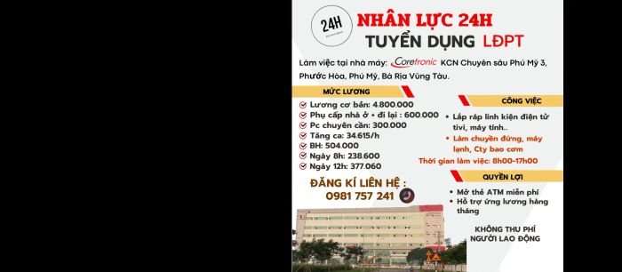 Hình ảnh hoạt động đào tạo tại Nhân Lực 24h