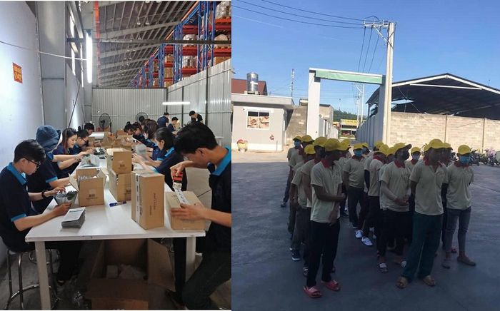 Hình ảnh hoạt động chuyên nghiệp của Kiến Vàng 247