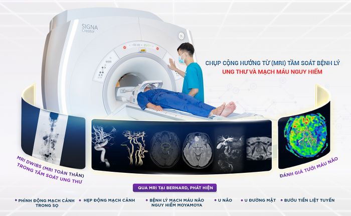 Trang thiết bị công nghệ cao tại Bernard Healthcare - Hình ảnh 2