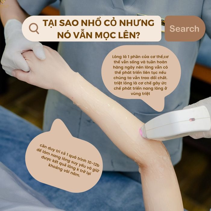 Hình ảnh Camellia Luxury Spa số 2