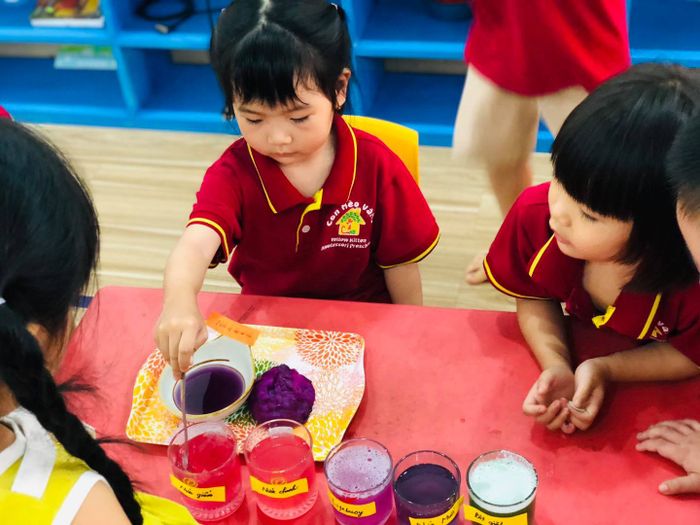 Không gian học tập Montessori đạt chuẩn tại CON MÈO VÀNG