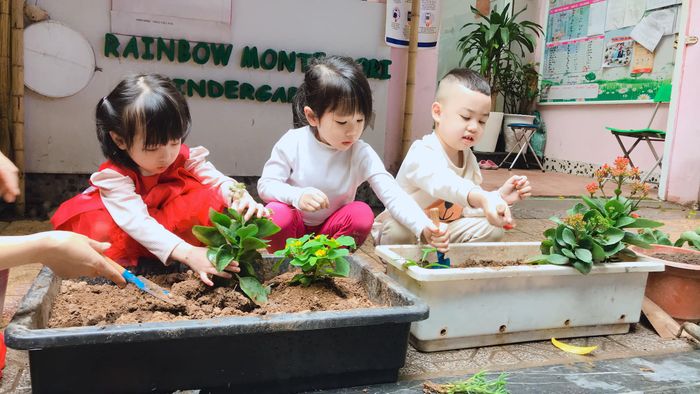 Hoạt động vui chơi sáng tạo tại Rainbow Montessori - Ảnh 2