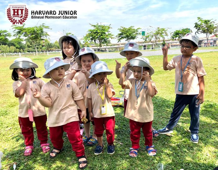 Hình ảnh hoạt động ngoại khóa tại Harvard Junior Kindergarten