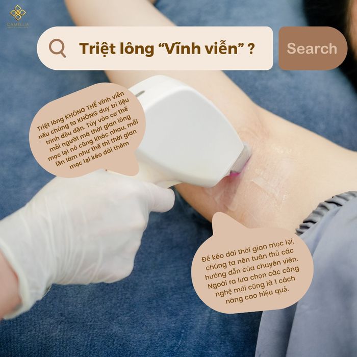 Hình ảnh Camellia Luxury Spa số 1