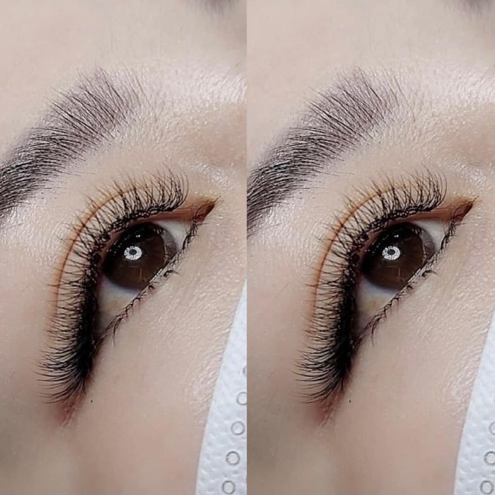 An Thanh Eyelash Ảnh 2