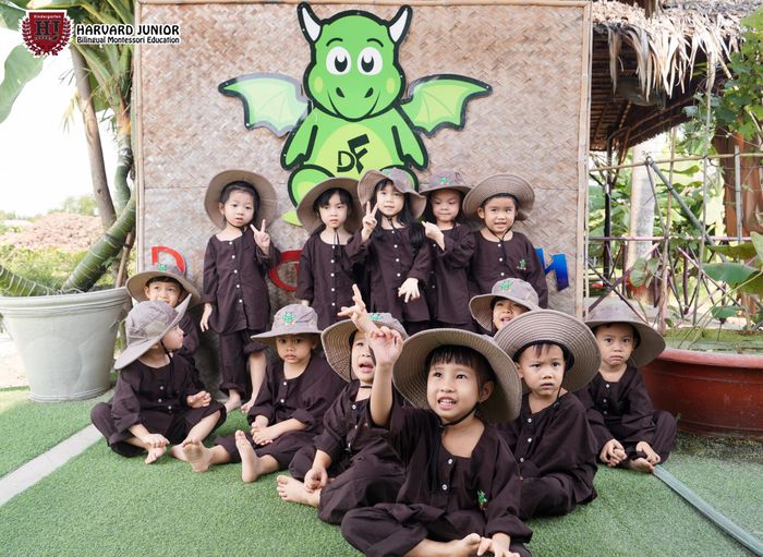 Hình ảnh không gian học tập hiện đại tại Harvard Junior Kindergarten