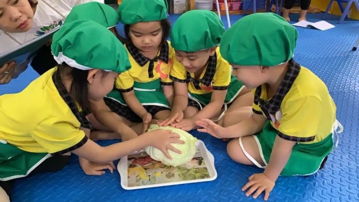 Khoảnh khắc đáng yêu tại Trường mầm non Tân Phong - Nơi trẻ thơ tỏa sáng